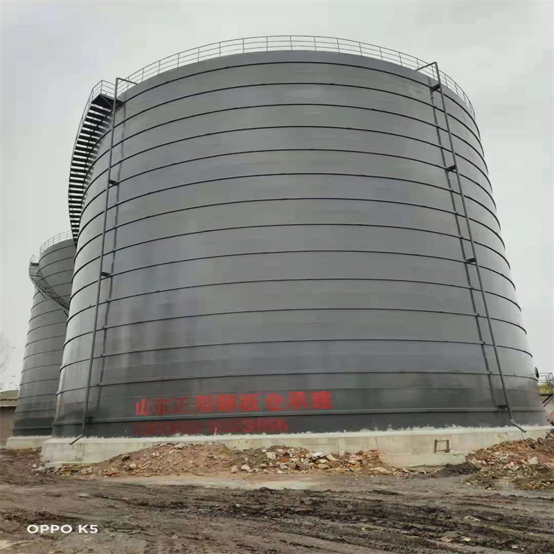 天峻3万吨大型钢板库